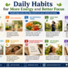 Daily Habits for More Energy and Better Focus